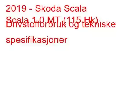 2019 - Skoda Scala
Scala 1.0 MT (115 Hk) Drivstofforbruk og tekniske spesifikasjoner