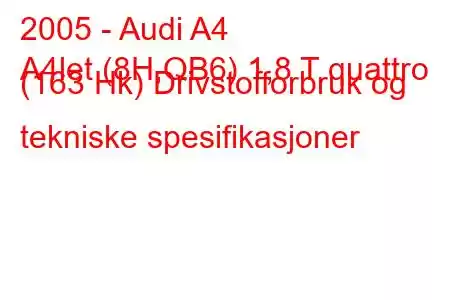 2005 - Audi A4
A4let (8H,QB6) 1,8 T quattro (163 Hk) Drivstofforbruk og tekniske spesifikasjoner