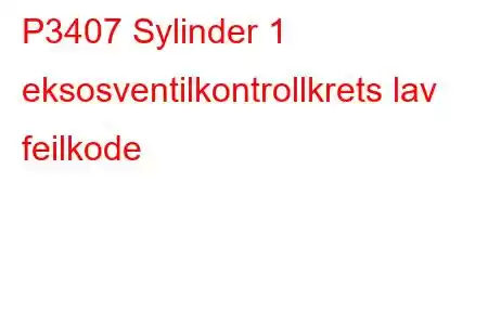 P3407 Sylinder 1 eksosventilkontrollkrets lav feilkode