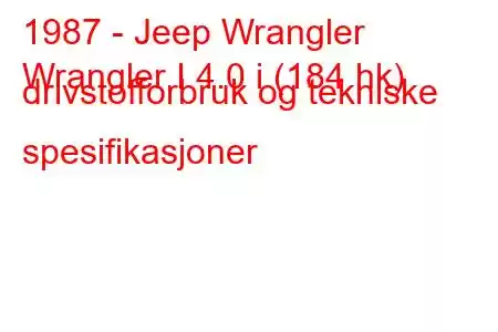 1987 - Jeep Wrangler
Wrangler I 4.0 i (184 hk) drivstofforbruk og tekniske spesifikasjoner