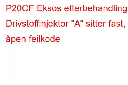 P20CF Eksos etterbehandling Drivstoffinjektor 