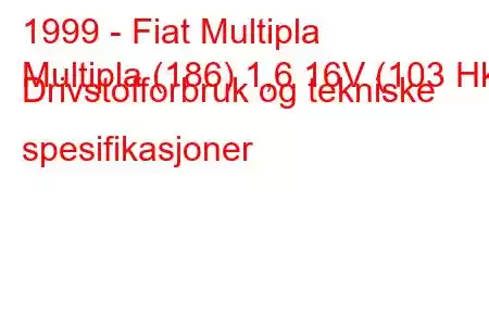 1999 - Fiat Multipla
Multipla (186) 1,6 16V (103 Hk) Drivstofforbruk og tekniske spesifikasjoner