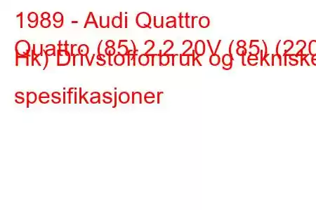 1989 - Audi Quattro
Quattro (85) 2.2 20V (85) (220 Hk) Drivstofforbruk og tekniske spesifikasjoner