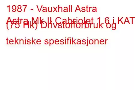 1987 - Vauxhall Astra
Astra Mk II Cabriolet 1.6 i KAT (75 Hk) Drivstofforbruk og tekniske spesifikasjoner