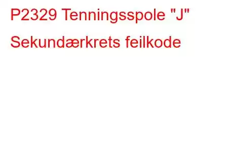 P2329 Tenningsspole 