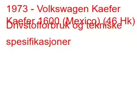 1973 - Volkswagen Kaefer
Kaefer 1600 (Mexico) (46 Hk) Drivstofforbruk og tekniske spesifikasjoner