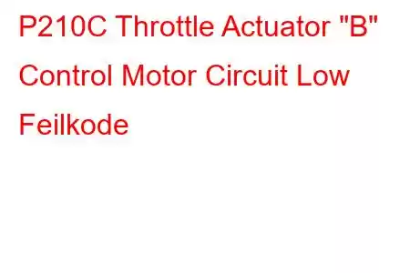 P210C Throttle Actuator 