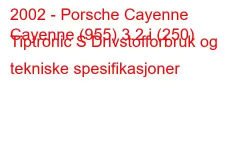 2002 - Porsche Cayenne
Cayenne (955) 3.2 i (250) Tiptronic S Drivstofforbruk og tekniske spesifikasjoner