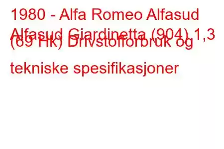 1980 - Alfa Romeo Alfasud
Alfasud Giardinetta (904) 1,3 (69 Hk) Drivstofforbruk og tekniske spesifikasjoner