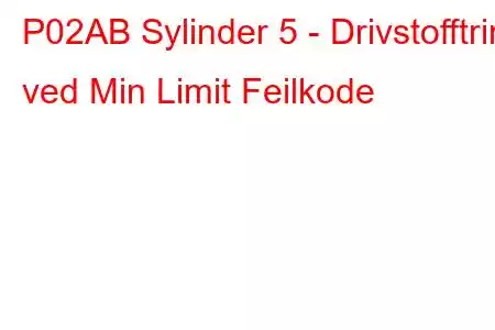 P02AB Sylinder 5 - Drivstofftrim ved Min Limit Feilkode