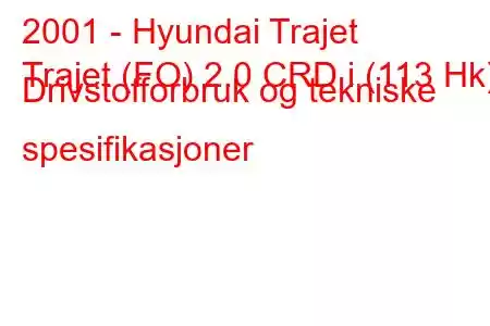 2001 - Hyundai Trajet
Trajet (FO) 2.0 CRD i (113 Hk) Drivstofforbruk og tekniske spesifikasjoner