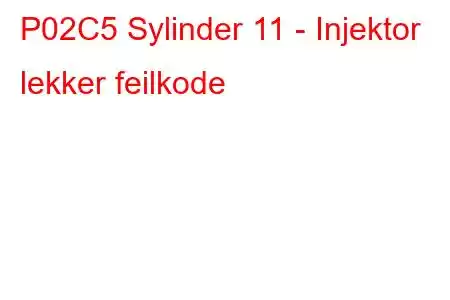 P02C5 Sylinder 11 - Injektor lekker feilkode