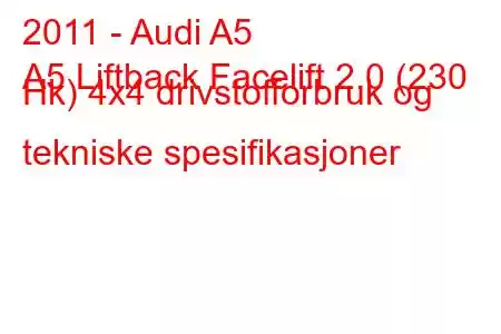 2011 - Audi A5
A5 Liftback Facelift 2.0 (230 Hk) 4x4 drivstofforbruk og tekniske spesifikasjoner