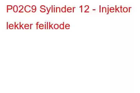 P02C9 Sylinder 12 - Injektor lekker feilkode