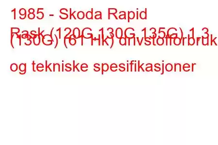 1985 - Skoda Rapid
Rask (120G,130G,135G) 1,3 (130G) (61 Hk) drivstofforbruk og tekniske spesifikasjoner