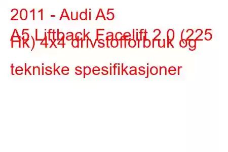 2011 - Audi A5
A5 Liftback Facelift 2.0 (225 Hk) 4x4 drivstofforbruk og tekniske spesifikasjoner