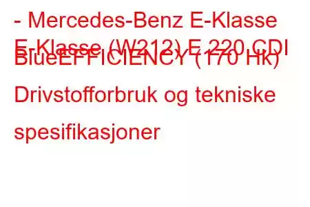 - Mercedes-Benz E-Klasse
E-Klasse (W212) E 220 CDI BlueEFFICIENCY (170 Hk) Drivstofforbruk og tekniske spesifikasjoner