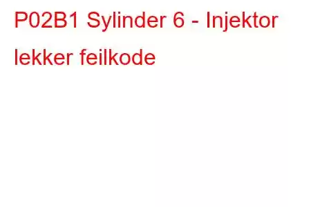 P02B1 Sylinder 6 - Injektor lekker feilkode