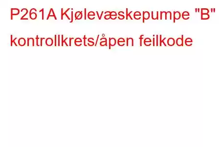 P261A Kjølevæskepumpe 