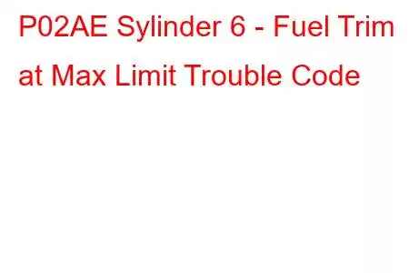 P02AE Sylinder 6 - Fuel Trim at Max Limit Trouble Code