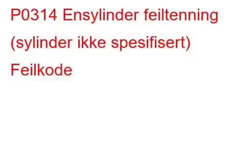 P0314 Ensylinder feiltenning (sylinder ikke spesifisert) Feilkode