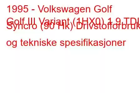 1995 - Volkswagen Golf
Golf III Variant (1HX0) 1.9 TDI Syncro (90 Hk) Drivstofforbruk og tekniske spesifikasjoner