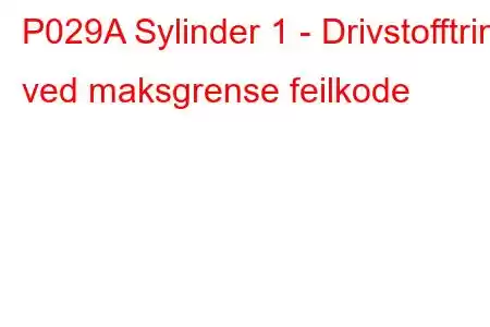 P029A Sylinder 1 - Drivstofftrim ved maksgrense feilkode