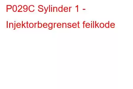 P029C Sylinder 1 - Injektorbegrenset feilkode