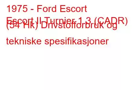 1975 - Ford Escort
Escort II Turnier 1.3 (CADR) (54 Hk) Drivstofforbruk og tekniske spesifikasjoner