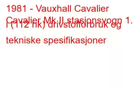 1981 - Vauxhall Cavalier
Cavalier Mk II stasjonsvogn 1.8 i (112 hk) drivstofforbruk og tekniske spesifikasjoner