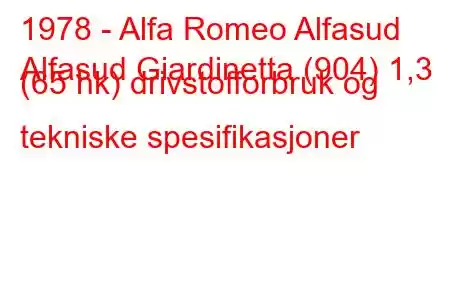 1978 - Alfa Romeo Alfasud
Alfasud Giardinetta (904) 1,3 (65 hk) drivstofforbruk og tekniske spesifikasjoner