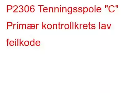 P2306 Tenningsspole 