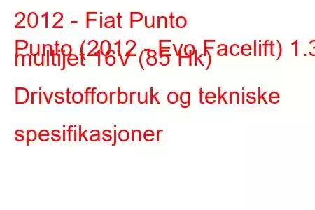 2012 - Fiat Punto
Punto (2012 - Evo Facelift) 1.3 multijet 16V (85 Hk) Drivstofforbruk og tekniske spesifikasjoner