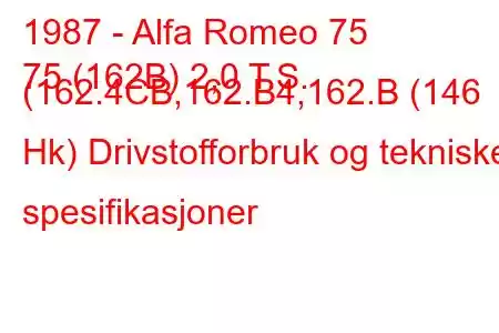 1987 - Alfa Romeo 75
75 (162B) 2,0 T.S. (162.4CB,162.B4,162.B (146 Hk) Drivstofforbruk og tekniske spesifikasjoner