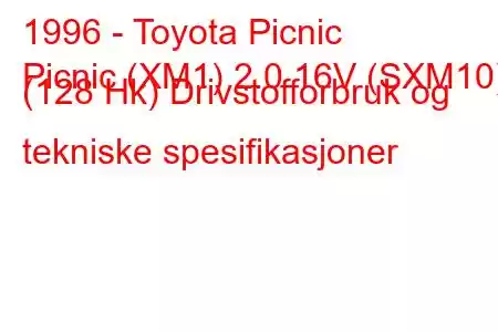 1996 - Toyota Picnic
Picnic (XM1) 2.0 16V (SXM10) (128 Hk) Drivstofforbruk og tekniske spesifikasjoner