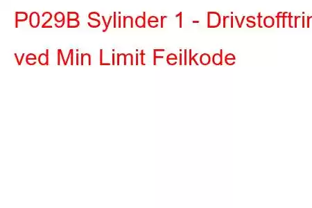 P029B Sylinder 1 - Drivstofftrim ved Min Limit Feilkode