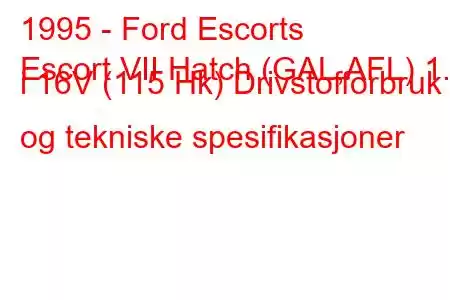 1995 - Ford Escorts
Escort VII Hatch (GAL,AFL) 1.8 i 16V (115 Hk) Drivstofforbruk og tekniske spesifikasjoner