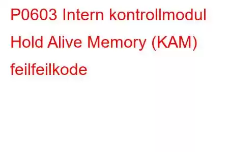 P0603 Intern kontrollmodul Hold Alive Memory (KAM) feilfeilkode